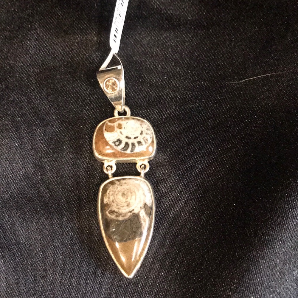 Ammonite pendant